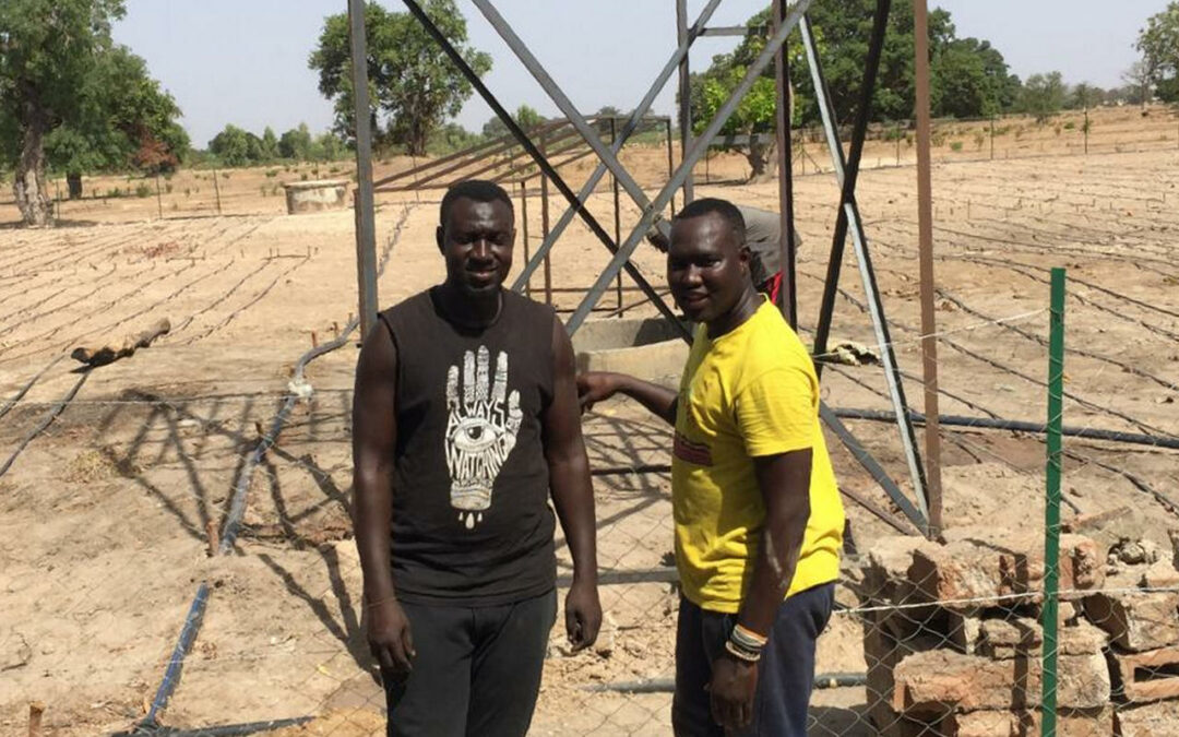 Istallazione dei pannelli solari per l’orto in Gambia