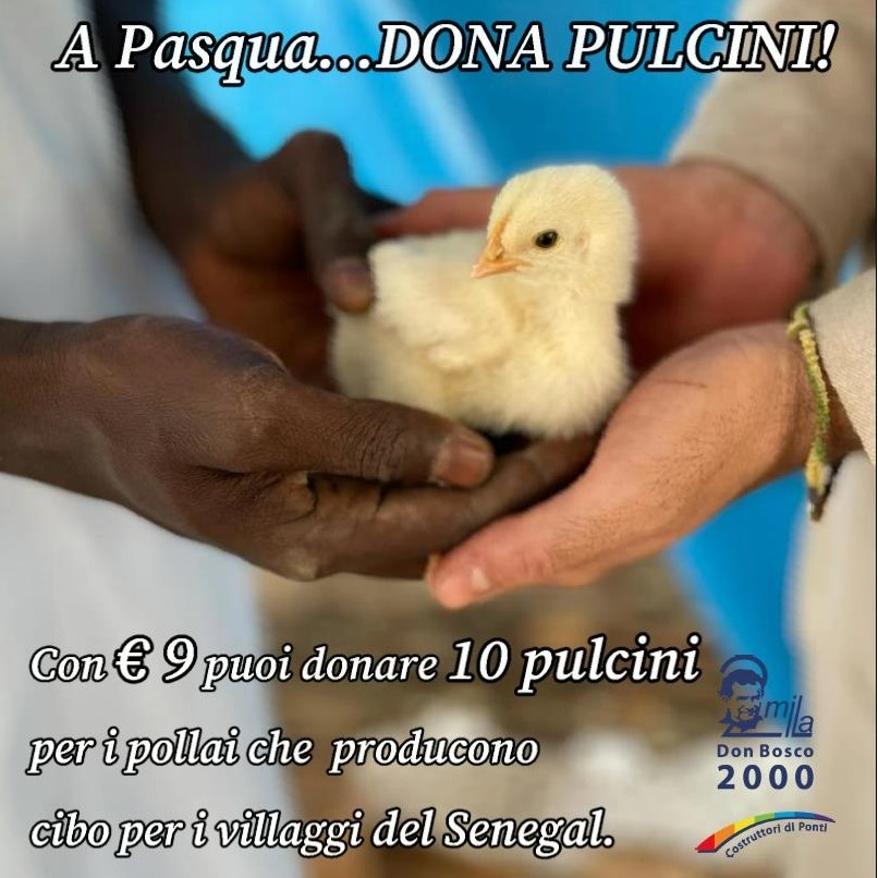 grafica-PASQUA-2021